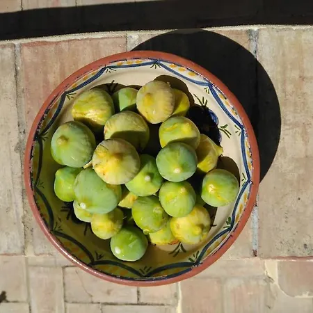 Casa Do Sul