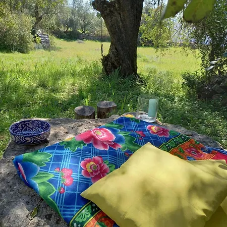 Casa Do Sul 別荘 *