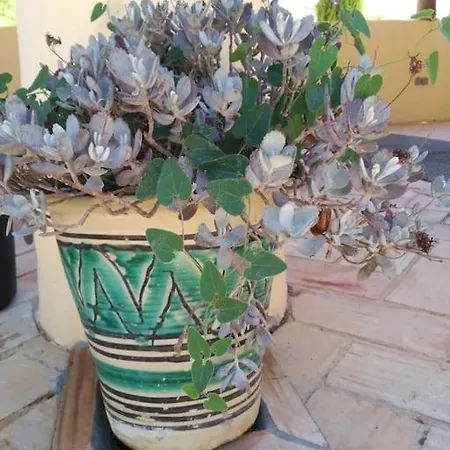 Casa Do Sul Casa de Férias São Brás de Alportel