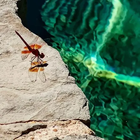 Casa Do Sul São Brás de Alportel