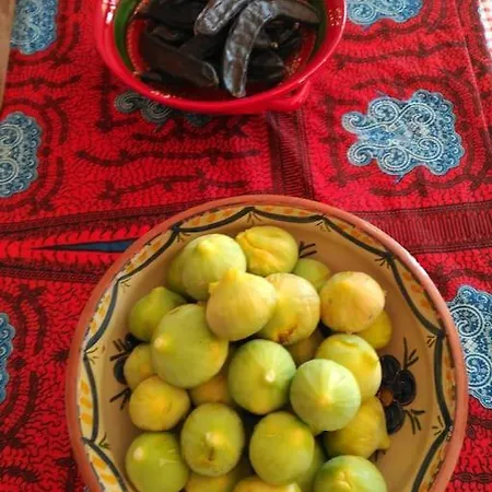 Casa Do Sul Дом отдыха