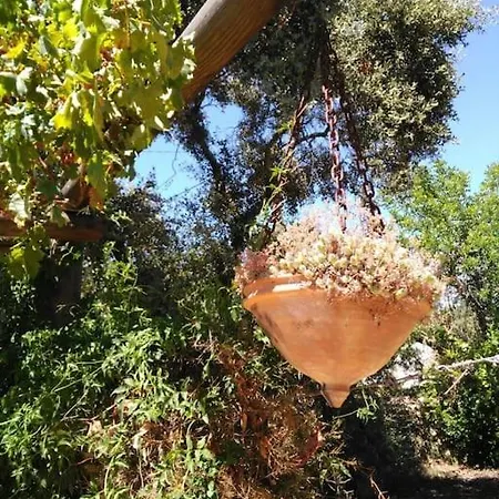 Дом отдыха Casa Do Sul Сан-Браш-ди-Алпортел