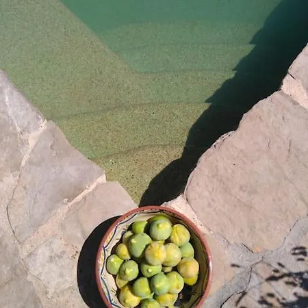 Дом отдыха Casa Do Sul *