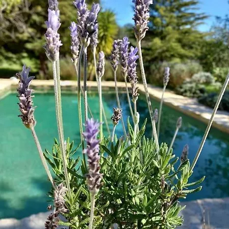 Дом отдыха Casa Do Sul Сан-Браш-ди-Алпортел