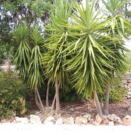 Дом отдыха Casa Do Sul *