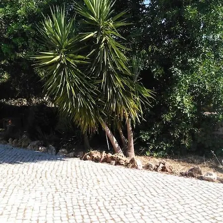 Casa Do Sul * Сан-Браш-ди-Алпортел